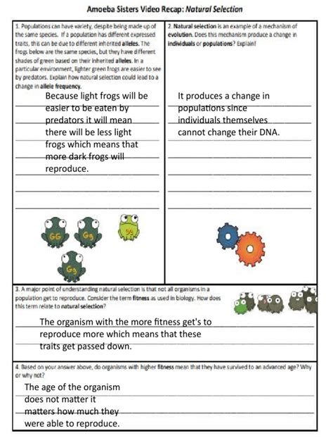 Enzymes are typically which type of biomolecule? _____ 3. . Amoeba sisters video recap natural selection worksheet answers pdf